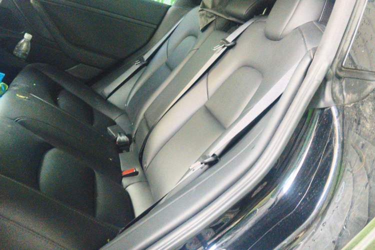 Used Tesla Model 3 2020 Revised Version Standard Range Rear-Wheel Drive – Upgraded Edition Left Rear Seat