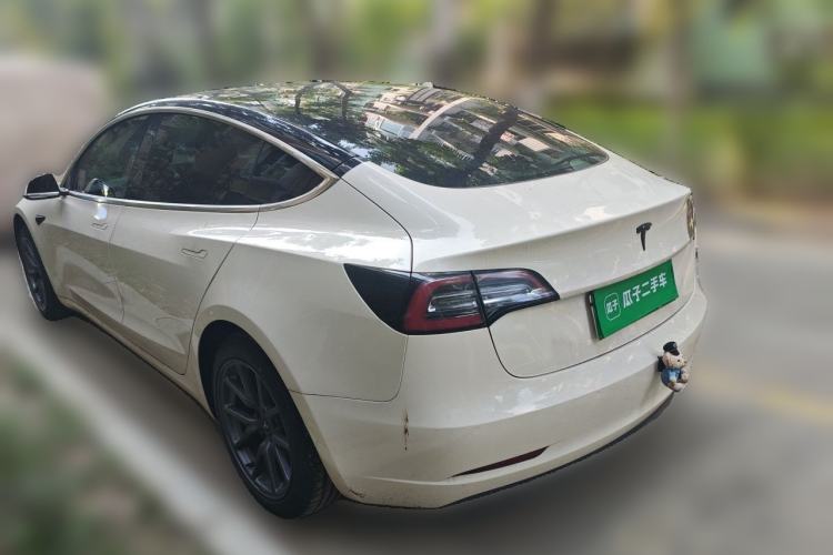 Used Tesla Model 3 2020 Standard Range Rear-Wheel Drive Upgraded Version Rear Left 45 Deg