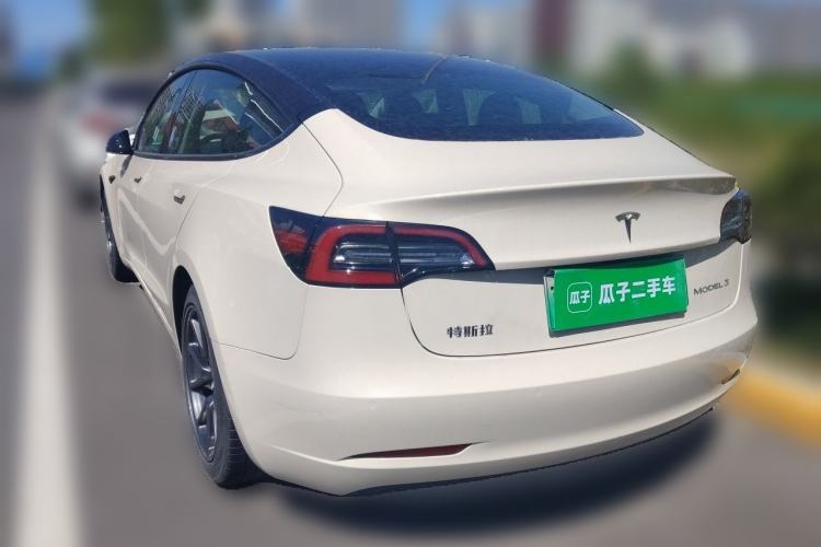 Used Tesla Model 3 2020 Standard Range Rear-Wheel Drive Upgraded Version Rear Left 45 Deg