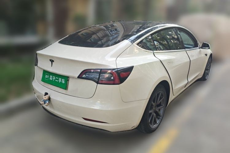 Used Tesla Model 3 2020 Standard Range Rear-Wheel Drive Upgraded Version Rear Right 45 Deg