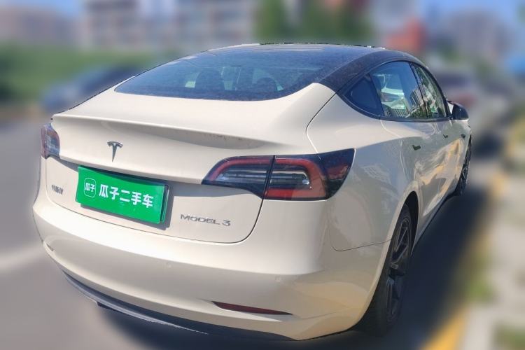 Used Tesla Model 3 2020 Standard Range Rear-Wheel Drive Upgraded Version Rear Right 45 Deg
