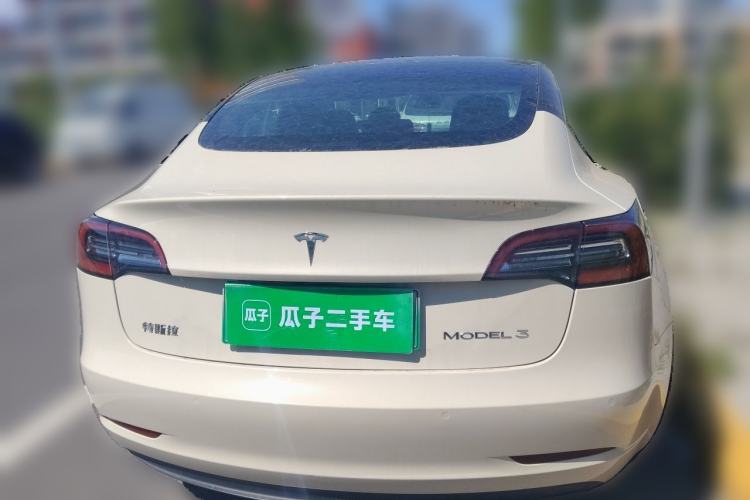 Used Tesla Model 3 2020 Standard Range Rear-Wheel Drive Upgraded Version Rear