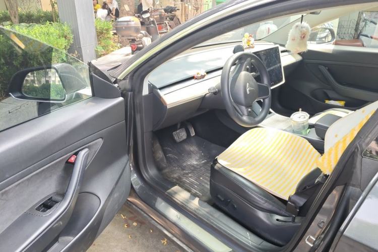 Used Tesla Model 3 2020 Standard Range Rear-Wheel Drive Upgraded Version Driver Seat