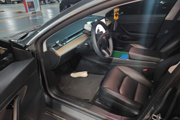 Used Tesla Model 3 2020 Standard Range Rear-Wheel Drive Upgraded Version Driver Seat