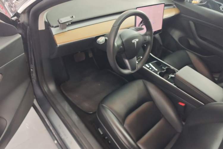 Used Tesla Model 3 2020 Standard Range Rear-Wheel Drive Upgraded Version Driver Seat