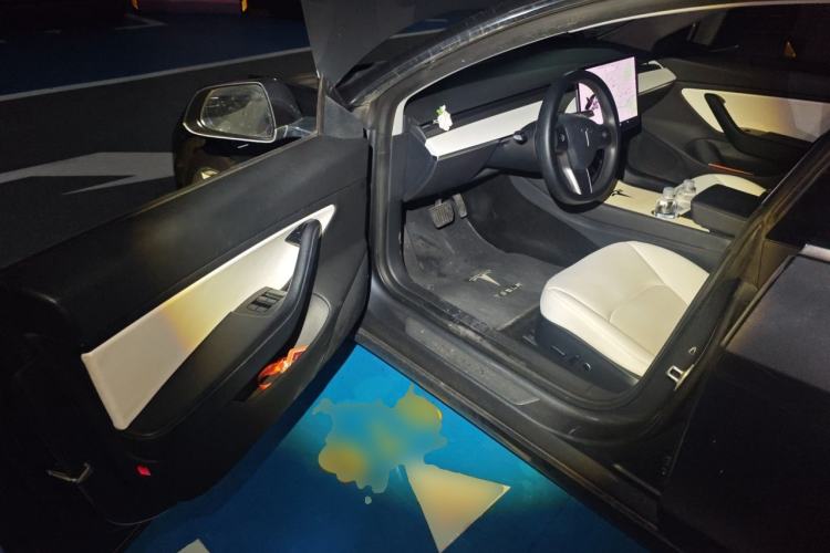 Used Tesla Model 3 2020 Revised Version Standard Range Rear-Wheel Drive – Upgraded Edition Driver Seat