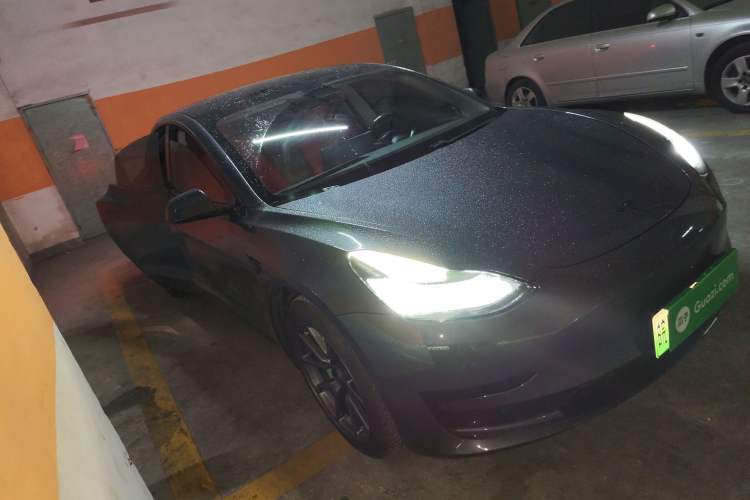 Used Tesla Model 3 2020 Standard Range Rear-Wheel Drive Upgraded Version Exterior 1