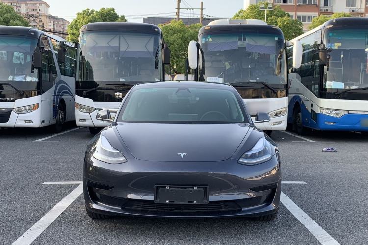 Used Tesla Model 3 2020 Standard Range Rear-Wheel Drive Upgraded Version Exterior 1