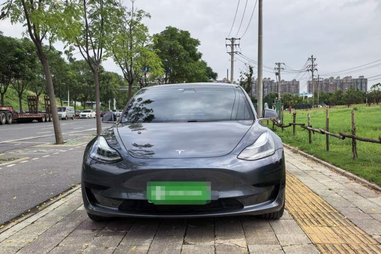 Used Tesla Model 3 2020 Standard Range Rear-Wheel Drive Upgraded Version Exterior 1