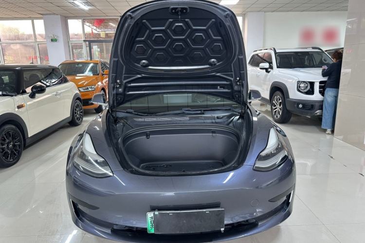 Used Tesla Model 3 2020 Standard Range Rear-Wheel Drive Upgraded Version Exterior 10