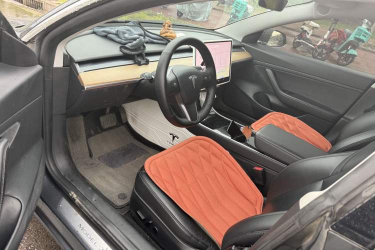 Used Tesla Model 3 2020 Long-Range Rear-Wheel-Drive Version Exterior 4