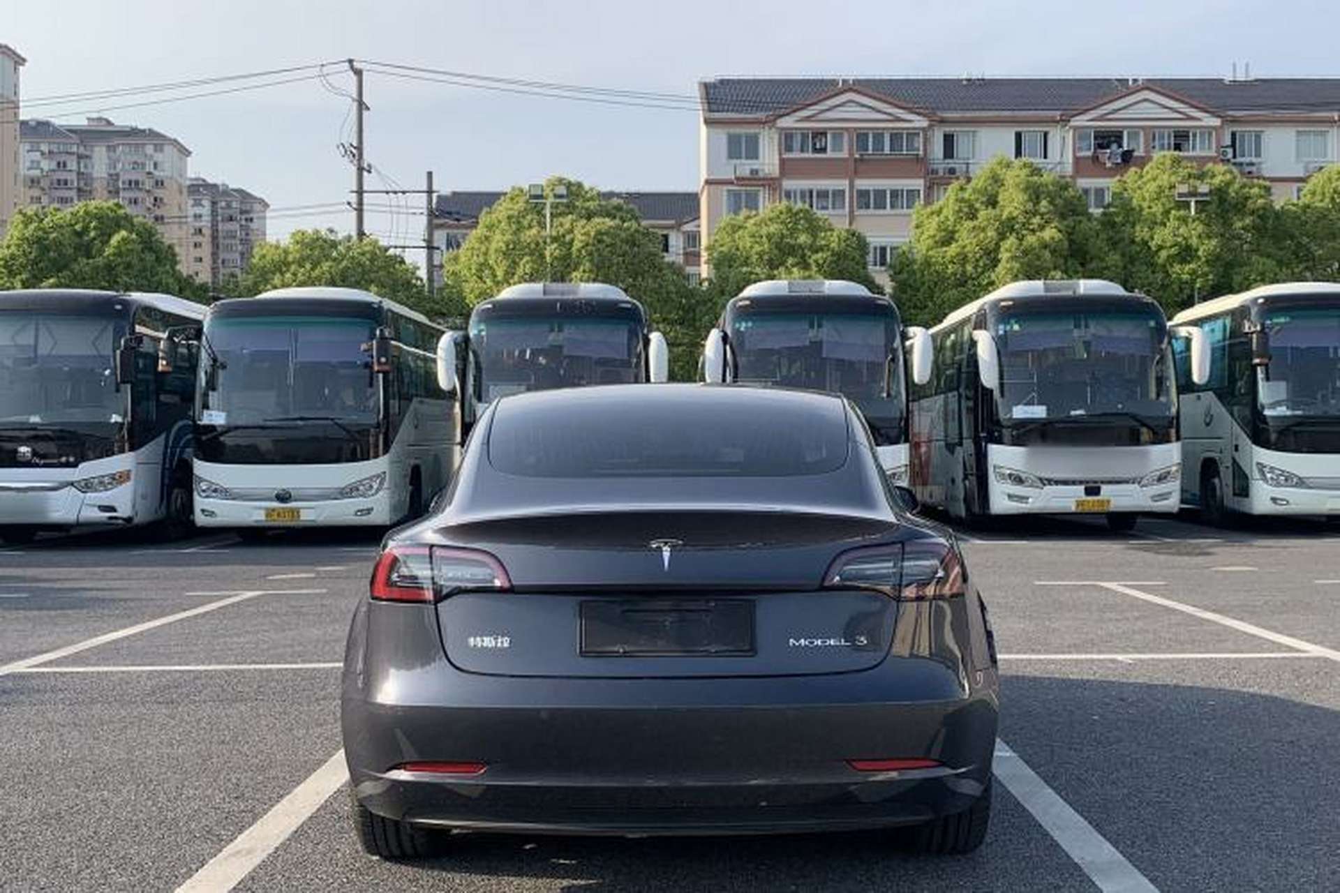 Used Tesla Model 3 2020 Revised Version Standard Range Rear-Wheel Drive – Upgraded Edition Exterior 4