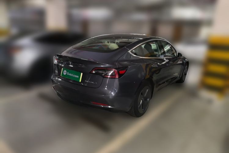 Used Tesla Model 3 2020 Standard Range Rear-Wheel Drive Upgraded Version Exterior 5
