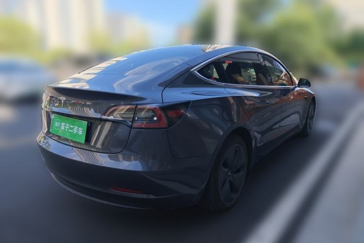 Used Tesla Model 3 2020 Standard Range Rear-Wheel Drive Upgraded Version Exterior 5