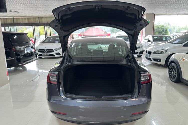 Used Tesla Model 3 2020 Standard Range Rear-Wheel Drive Upgraded Version Exterior 7