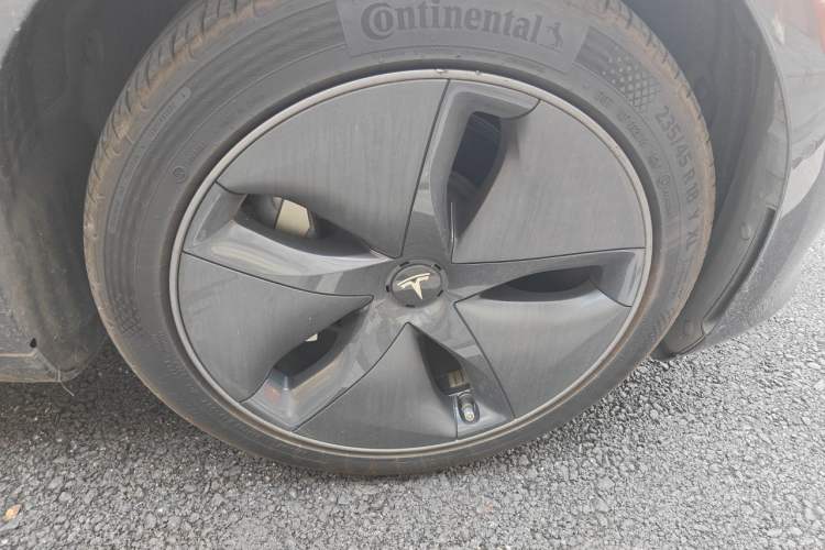 Used Tesla Model 3 2020 Standard Range Rear-Wheel Drive Upgraded Version Exterior 7