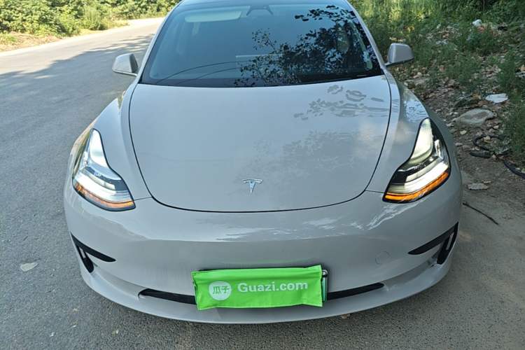 Used Tesla Model 3 2020 Standard Range Rear-Wheel Drive Upgraded Version Front