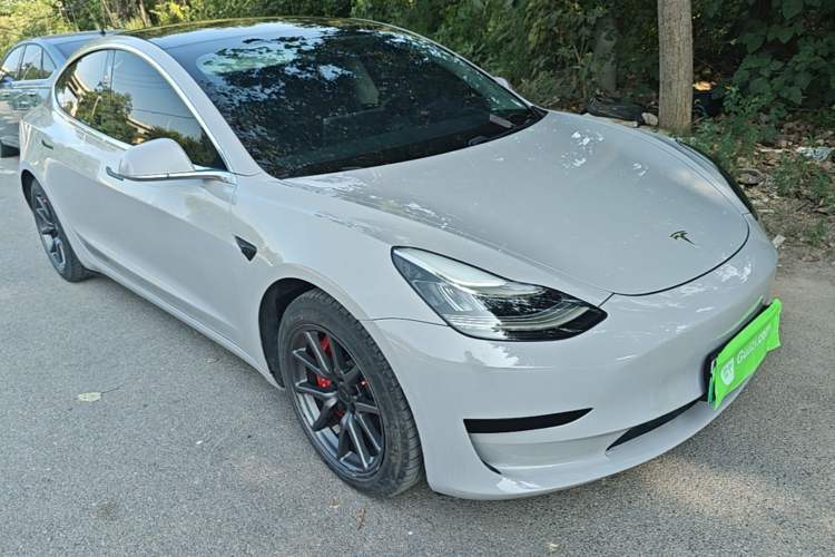 Used Tesla Model 3 2020 Standard Range Rear-Wheel Drive Upgraded Version Front Right 45 Deg