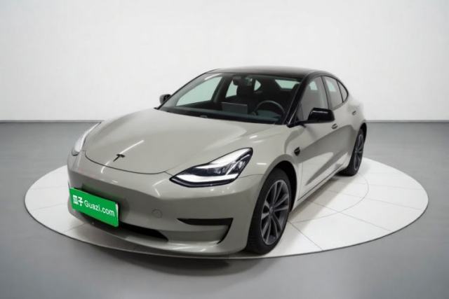 Tesla Model 3 2020 Standard Range Rear-Wheel Drive Upgraded Version usado