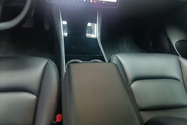 Used Tesla Model 3 2020 Revised Version Standard Range Rear-Wheel Drive – Upgraded Edition Gear Lever