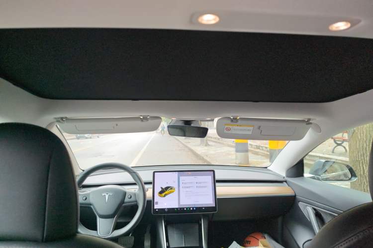 Used Tesla Model 3 2020 Standard Range Rear-Wheel Drive Upgraded Version Headliner