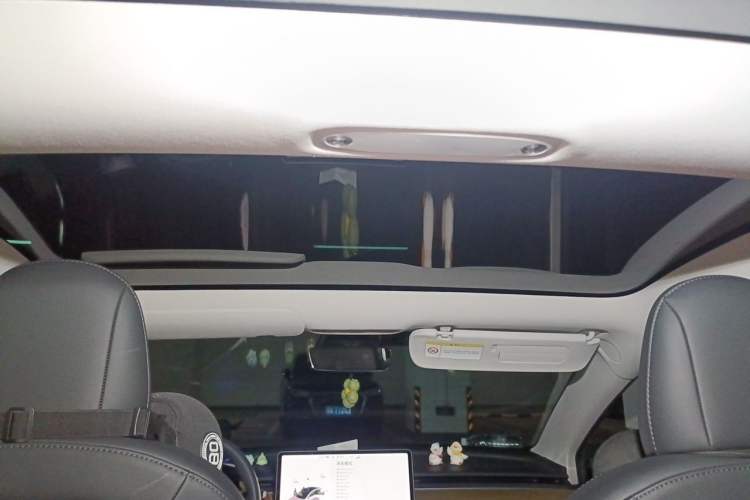 Used Tesla Model 3 2020 Revised Version Standard Range Rear-Wheel Drive – Upgraded Edition Headliner