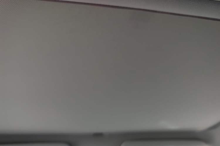 Used Tesla Model 3 2020 Refreshed Version Long-Range Rear-Wheel Drive Headliner