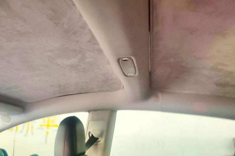 Used Tesla Model 3 2020 Revised Version Standard Range Rear-Wheel Drive – Upgraded Edition Headliner