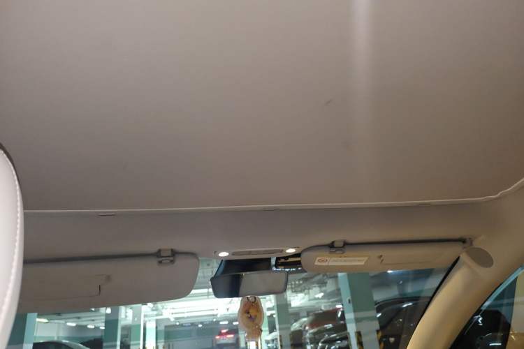 Used Tesla Model 3 2020 Revised Version Standard Range Rear-Wheel Drive – Upgraded Edition Headliner