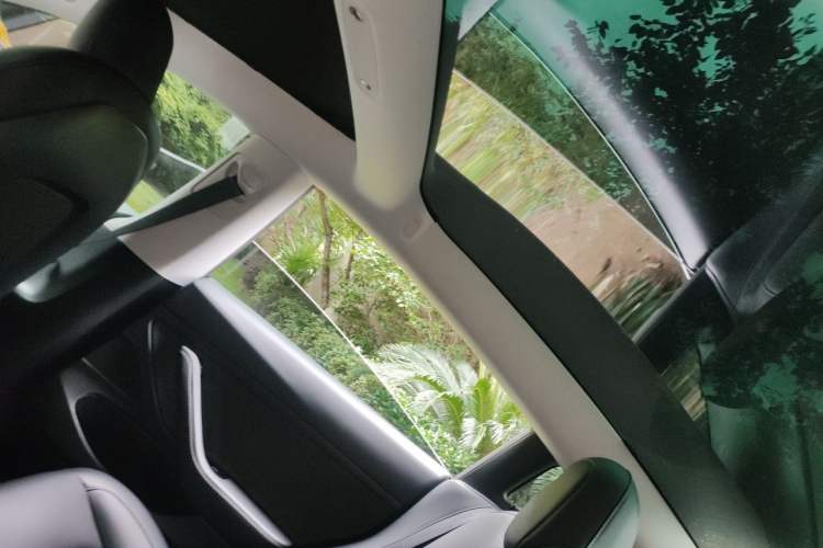 Used Tesla Model 3 2020 Standard Range Rear-Wheel Drive Upgraded Version Headliner
