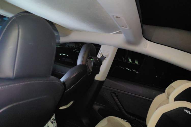 Used Tesla Model 3 2020 Standard Range Rear-Wheel Drive Upgraded Version Headliner