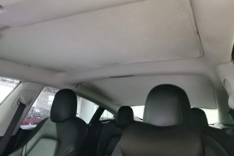 Used Tesla Model 3 2020 Refreshed Version Long-Range Rear-Wheel Drive Headliner