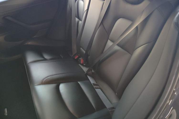 Used Tesla Model 3 2020 Revised Version Standard Range Rear-Wheel Drive – Upgraded Edition Interior 4
