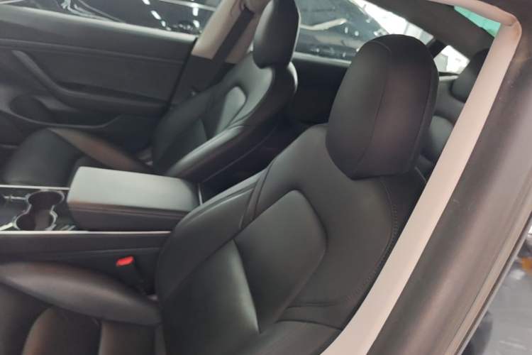 Used Tesla Model 3 2020 Standard Range Rear-Wheel Drive Upgraded Version Left Front Seat