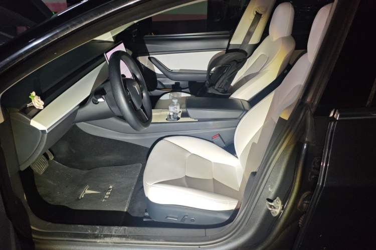 Used Tesla Model 3 2020 Revised Version Standard Range Rear-Wheel Drive – Upgraded Edition Left Front Seat
