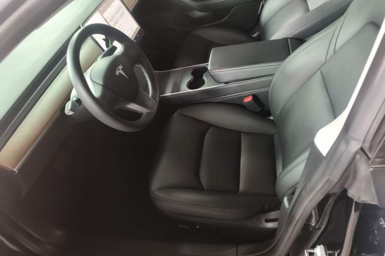 Used Tesla Model 3 2020 Standard Range Rear-Wheel Drive Upgraded Version Left Front Seat