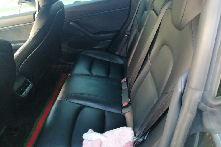 Used Tesla Model 3 2020 Standard Range Rear-Wheel Drive Upgraded Version Left Rear Seat