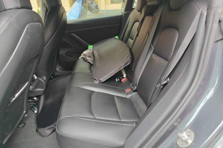 Used Tesla Model 3 2020 Standard Range Rear-Wheel Drive Upgraded Version Left Rear Seat