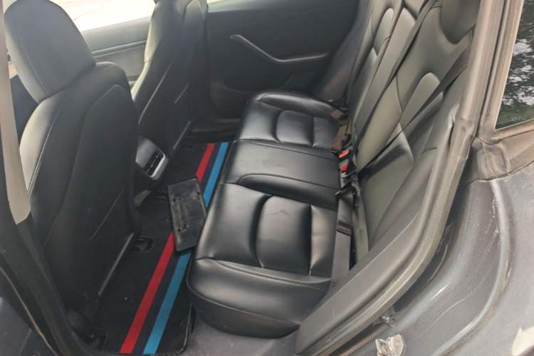 Used Tesla Model 3 2020 Long-Range Rear-Wheel-Drive Version Left Rear Seat