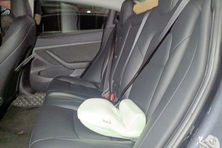 Used Tesla Model 3 2020 Revised Version Standard Range Rear-Wheel Drive – Upgraded Edition Left Rear Seat