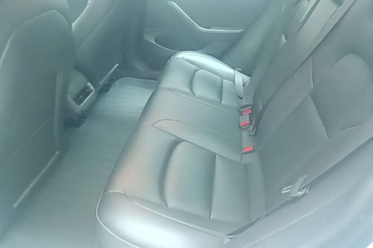 Used Tesla Model 3 2020 Revised Version Standard Range Rear-Wheel Drive – Upgraded Edition Left Rear Seat