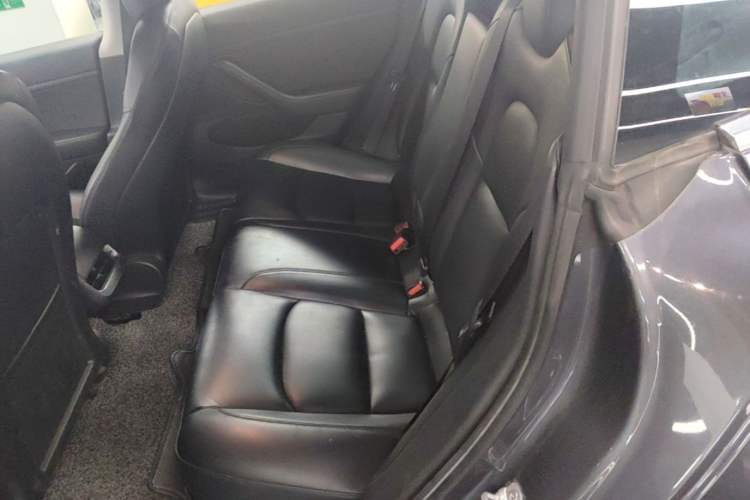 Used Tesla Model 3 2020 Refreshed Version Long-Range Rear-Wheel Drive Left Rear Seat
