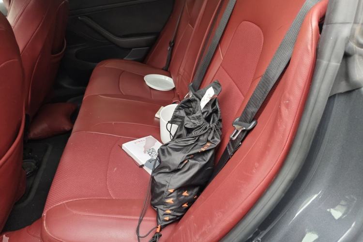 Used Tesla Model 3 2020 Standard Range Rear-Wheel Drive Upgraded Version Left Rear Seat