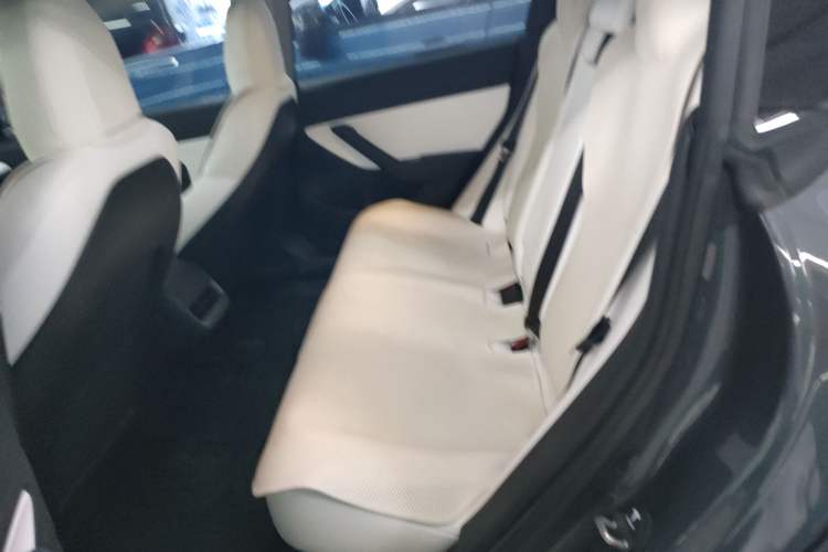 Used Tesla Model 3 2020 Revised Version Standard Range Rear-Wheel Drive – Upgraded Edition Left Rear Seat