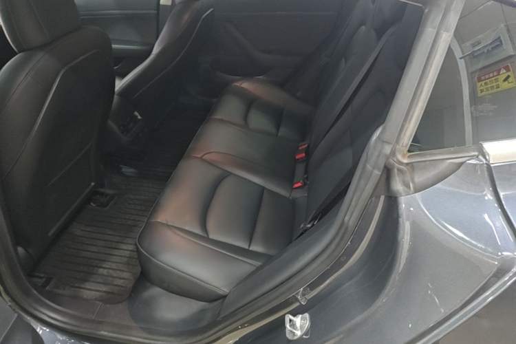 Used Tesla Model 3 2020 Revised Version Standard Range Rear-Wheel Drive – Upgraded Edition Left Rear Seat