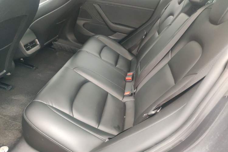 Used Tesla Model 3 2020 Standard Range Rear-Wheel Drive Upgraded Version Left Rear Seat