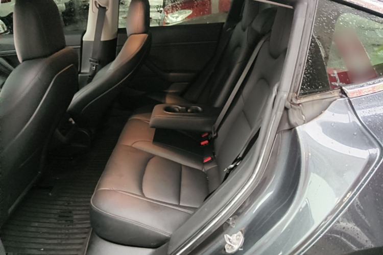 Used Tesla Model 3 2020 Revised Version Standard Range Rear-Wheel Drive – Upgraded Edition Left Rear Seat