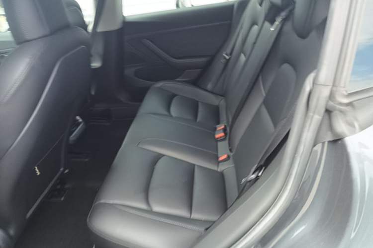 Used Tesla Model 3 2020 Standard Range Rear-Wheel Drive Upgraded Version Left Rear Seat