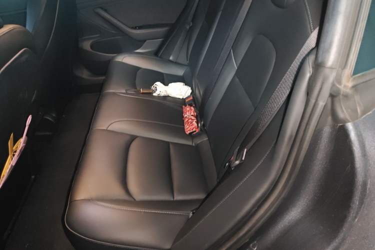 Used Tesla Model 3 2020 Standard Range Rear-Wheel Drive Upgraded Version Left Rear Seat
