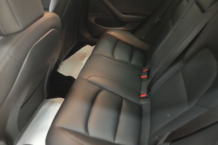Used Tesla Model 3 2020 Revised Version Standard Range Rear-Wheel Drive – Upgraded Edition Left Rear Seat
